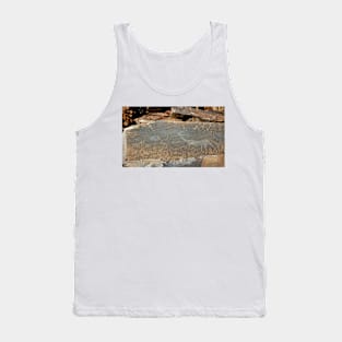 Rock Engravings, Twyfelfontein Tank Top